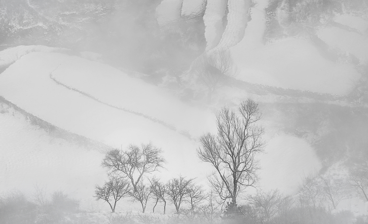 下雪了，太行大峡谷开启“2020年冬季雪景模式”，快来这幅水墨画里走一走！